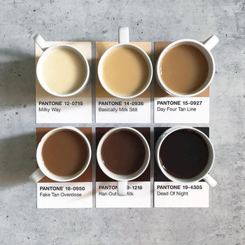 Un petit café au Coin des connaisseurs ?